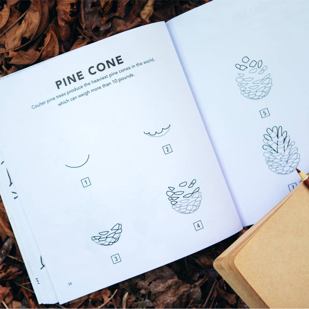 Penguin Random House LLC - Wholesale Display Book - How To Draw Fall Things4