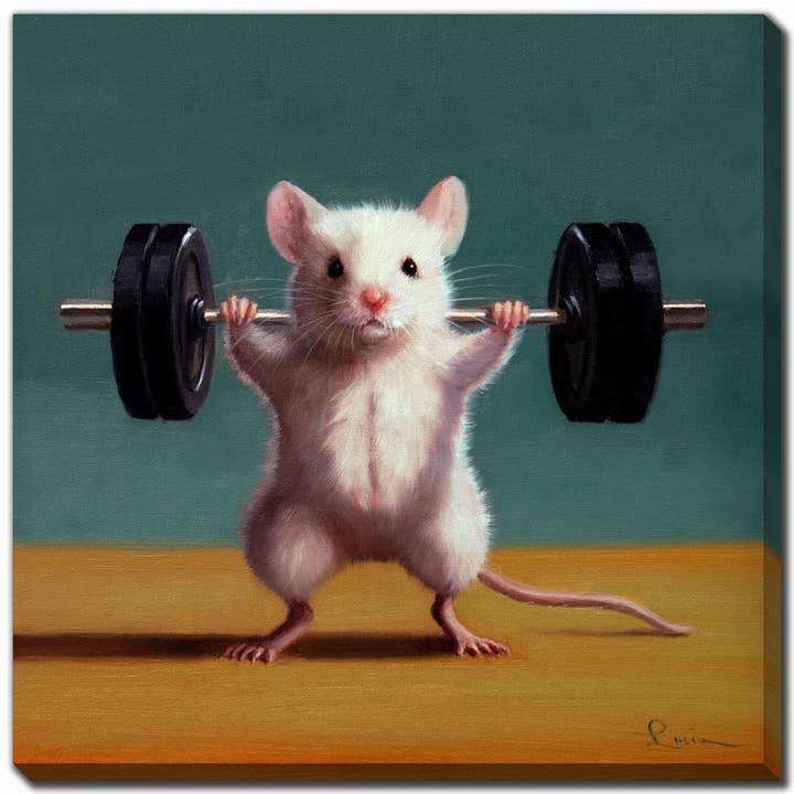 Gym Rat Back Squat Printed 16x16 Canvas Wall Art for wholesale by Streamline Art