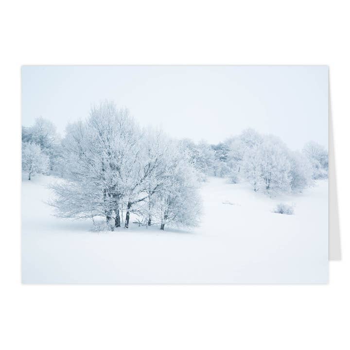 Cartão dobrável médio "Silêncio Sublime" por atacado de paruspaper. nutzfeine papeterie