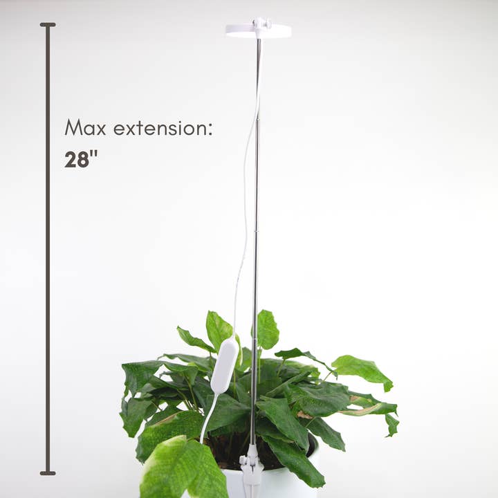Mossify - Wholesale Garden Tool - Adjustable LED Plant Light