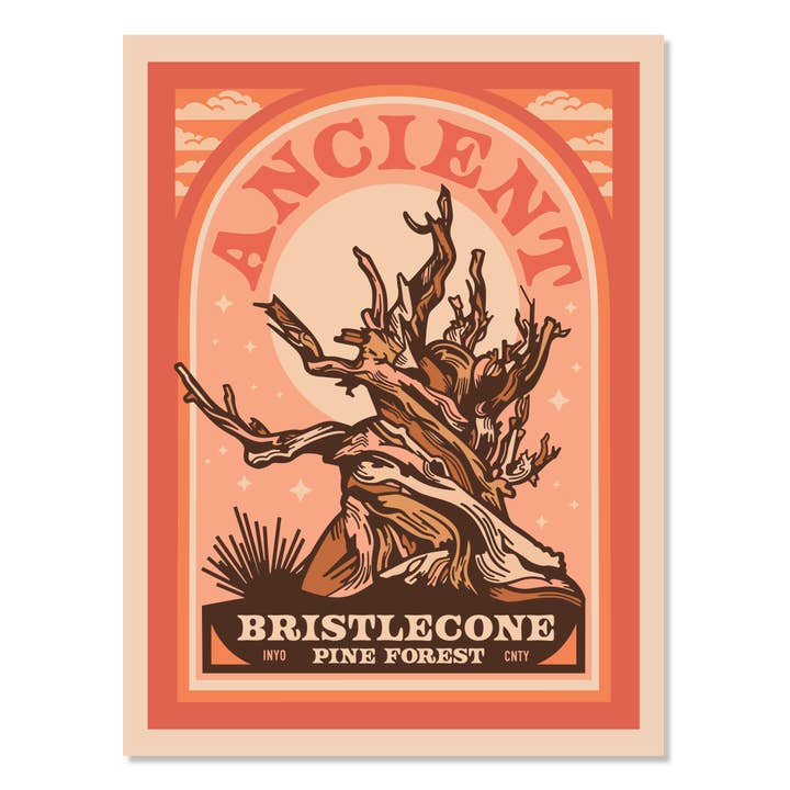 Ancient Bristlecone Pine Forest Poster for wholesale by Wyld & Roam