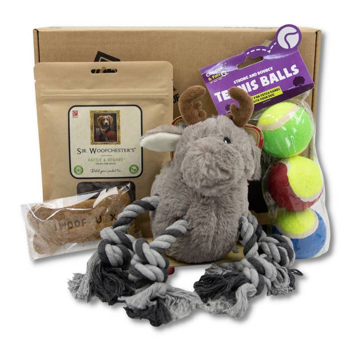 Christmas 4 Item Gift Box for wholesale by DogBox Boutique