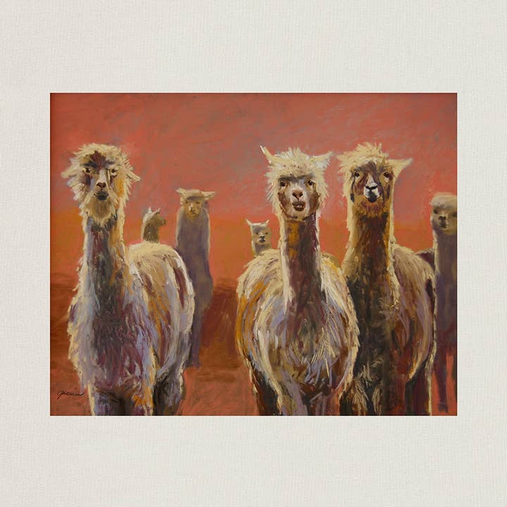 Alpaca Pack for wholesale by Graviss Studios