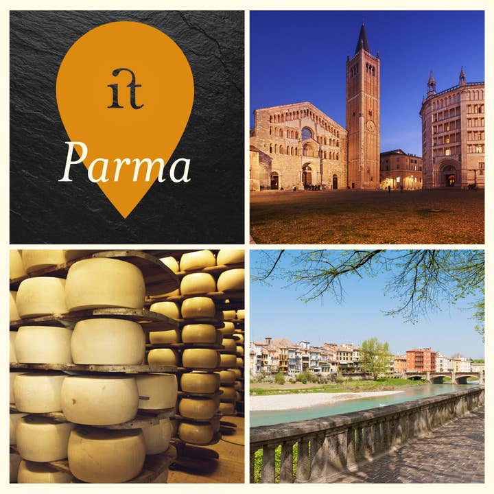 Gourm.it - Wholesale Cheese - Kosher Parmigiano Reggiano 24 Months2