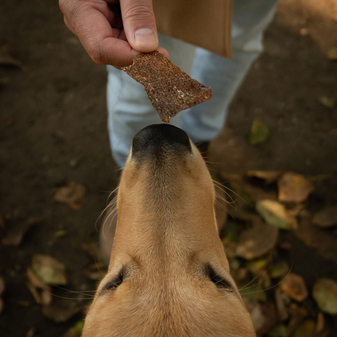 Rawbone - Wholesale Pet Treats - Dog - Rawbone Grass Fed Beef Liver Krisps – 75 g3