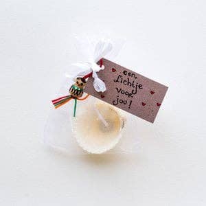 Wish Light for You for wholesale by Sidedish