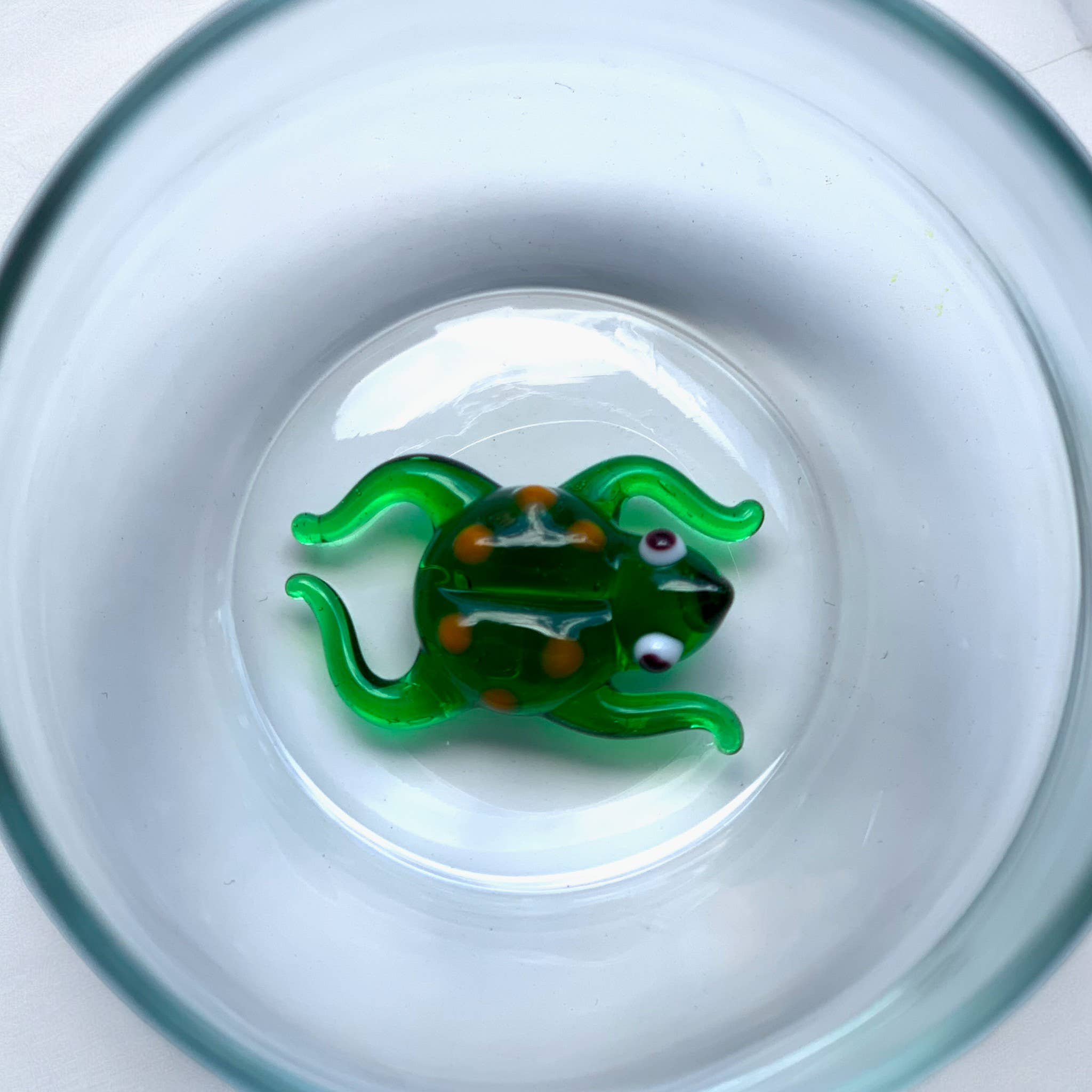 Glamuran Berlin - Wholesale Drinking Glass/Cup - Frog Glass1