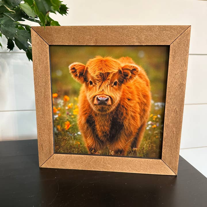 Bezerro de Vaca Highland em Moldura de 8,5” por atacado de Farmhouse Decor & Co.