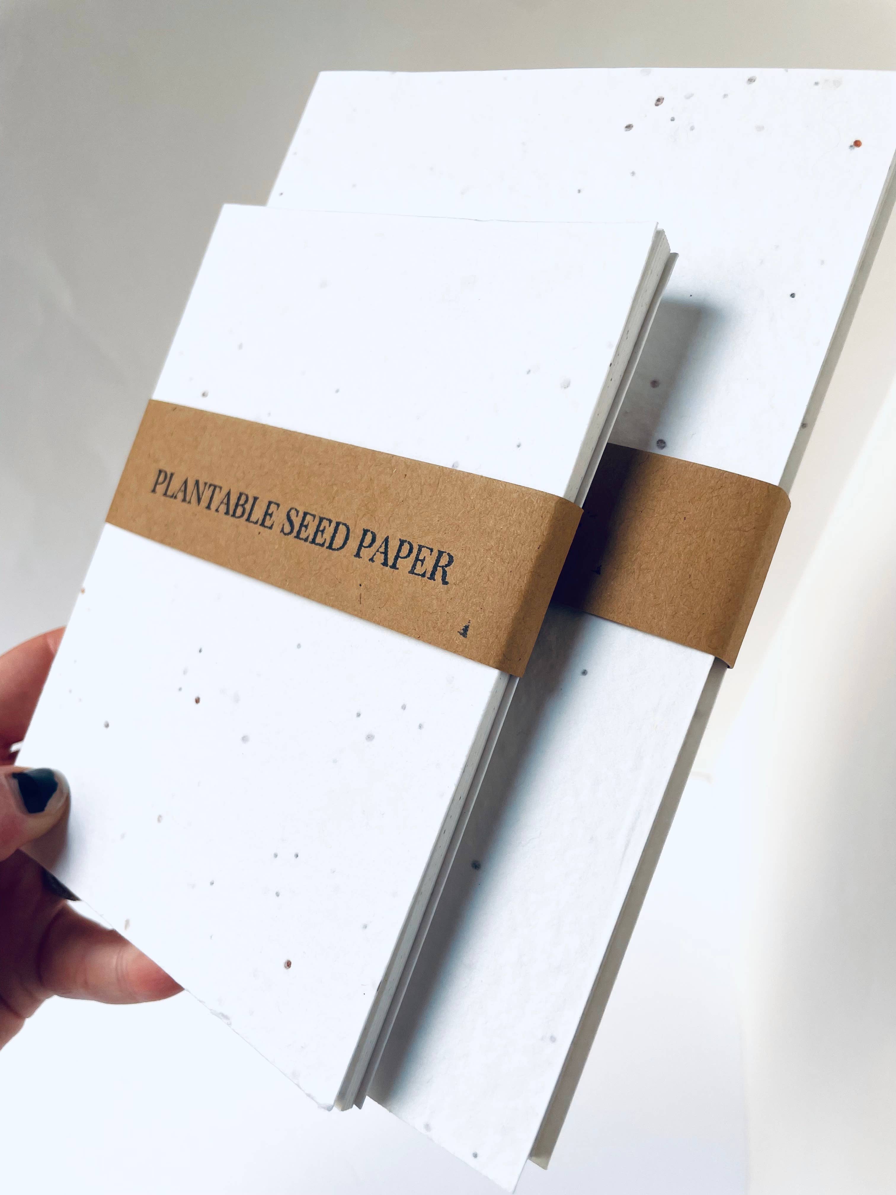 Atelier By Cat - Venta al por mayor Cuadernos - Mini cuaderno de papel con semillas, artículos de papel ecológicos, plantables6