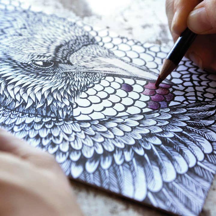 Shovava - Wholesale Colouring and activity book – adult - Adult Coloring Book3