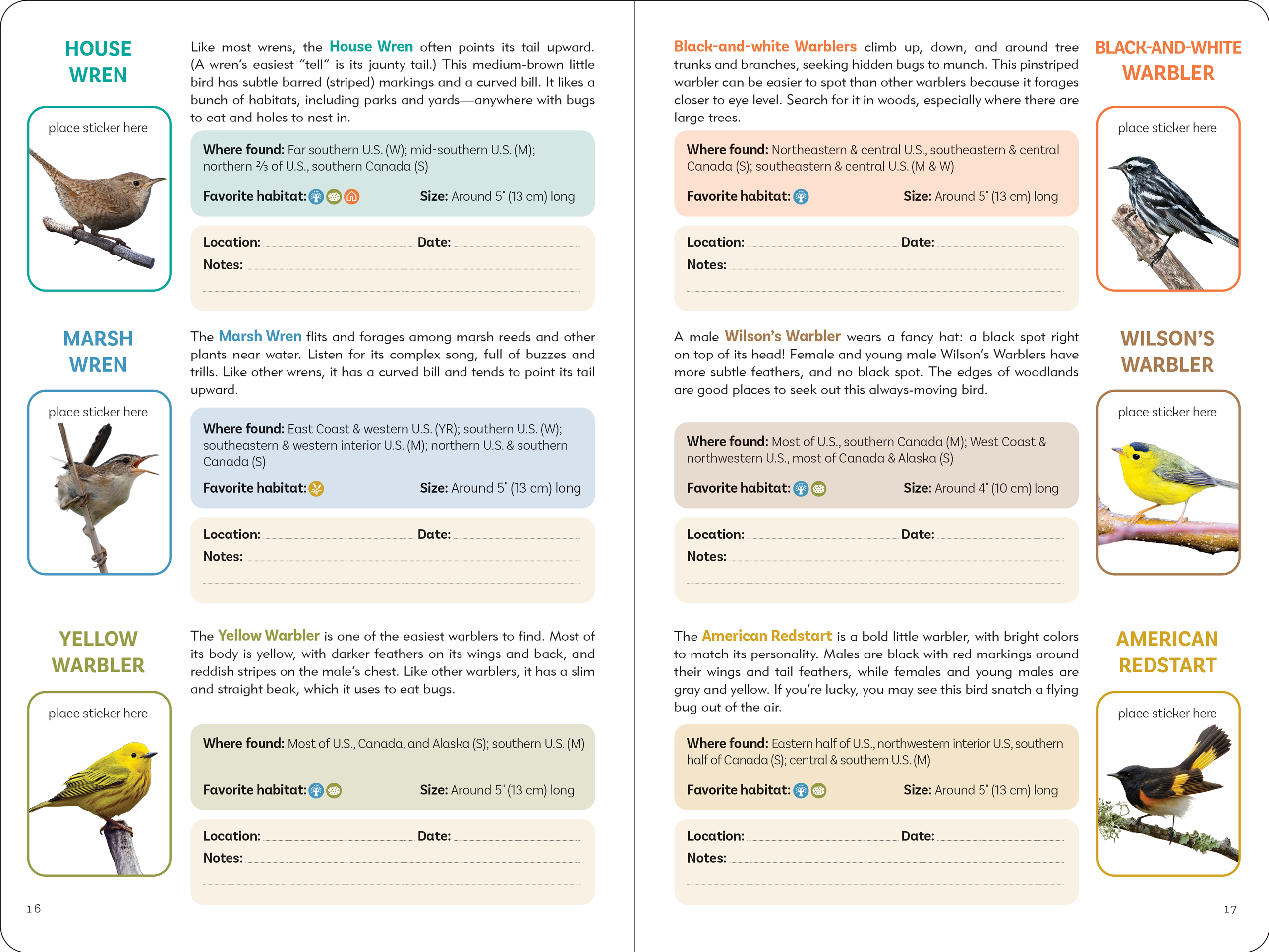 Peter Pauper Press - Wholesale Coloring & Activity Book - Kids & Baby - The Birder's Logbook: A Seek-and-Sticker Book for Budding Ornithologists6
