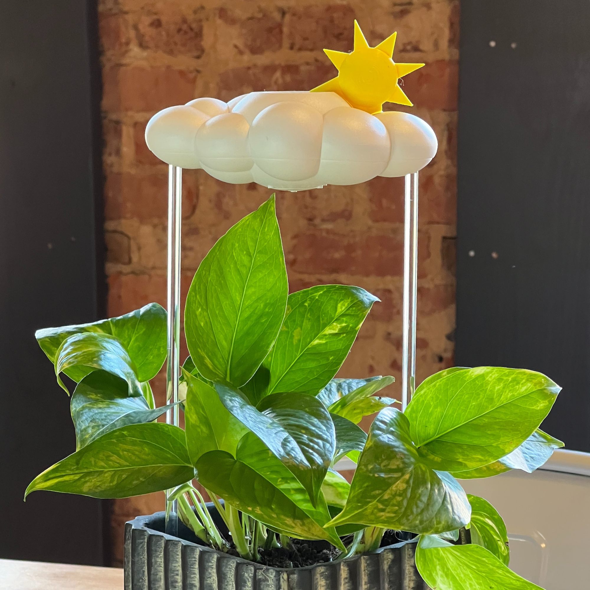 The Cloud Makers - Wholesale Plant Pot - Sun Charm for Dripping Rain Clouds10