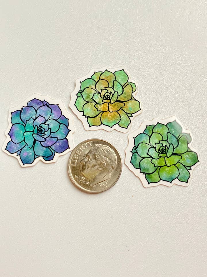 Succulent Plant Stickers for wholesale by TerraSeaDesigns