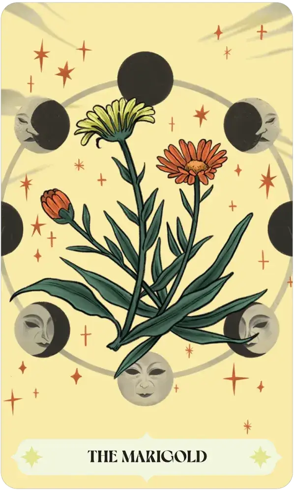 U.S. Games Systems Inc. - Wholesale Tarot Cards - Herbana Witch Oracle3