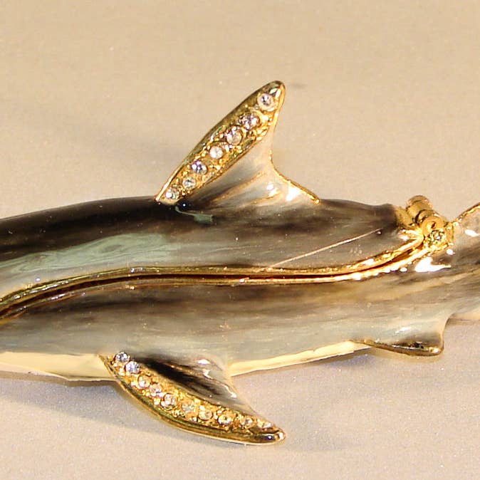 „Shark” Box 4" met juwelen voor wholesale door Sea Creations