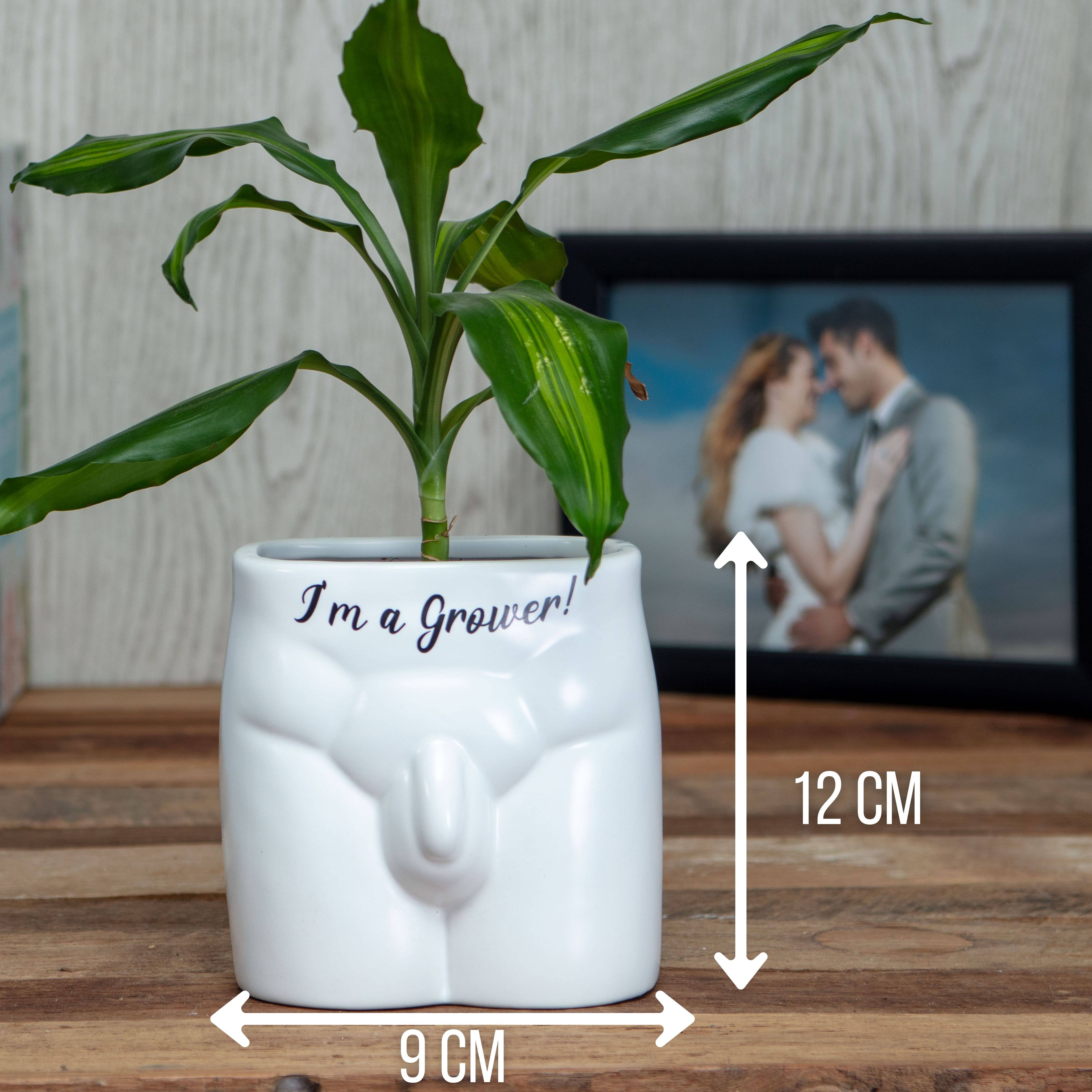 Boxer Gifts - Wholesale Plant Pot - I'm A Grower Put Some Plants On - Novelty Indoor Planter3