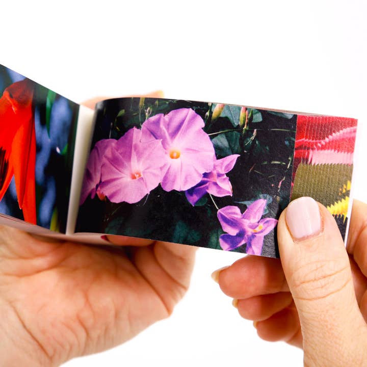 Flipboku – wholesale Visningsbok – Motion in Nature – interaktiv konstbok i set5