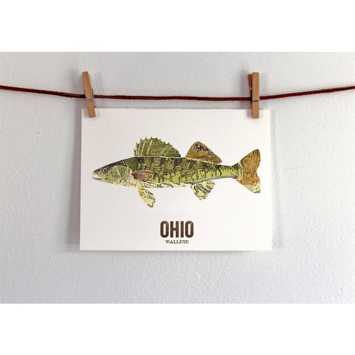 Wooden Pencil Company - Wholesale Art Print - Ohio State Fish, Map Art - Walleye