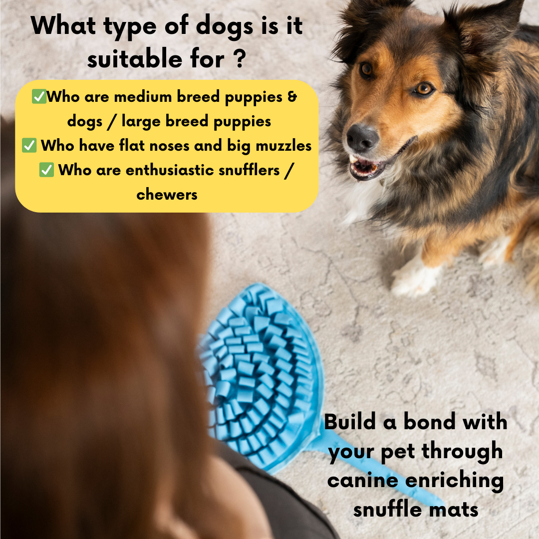 PawzNDogz – Engroshandel Legetøj - Kat/hund – Sassy Stingray Snusemåtte til Hunde fra PawzNDogz6