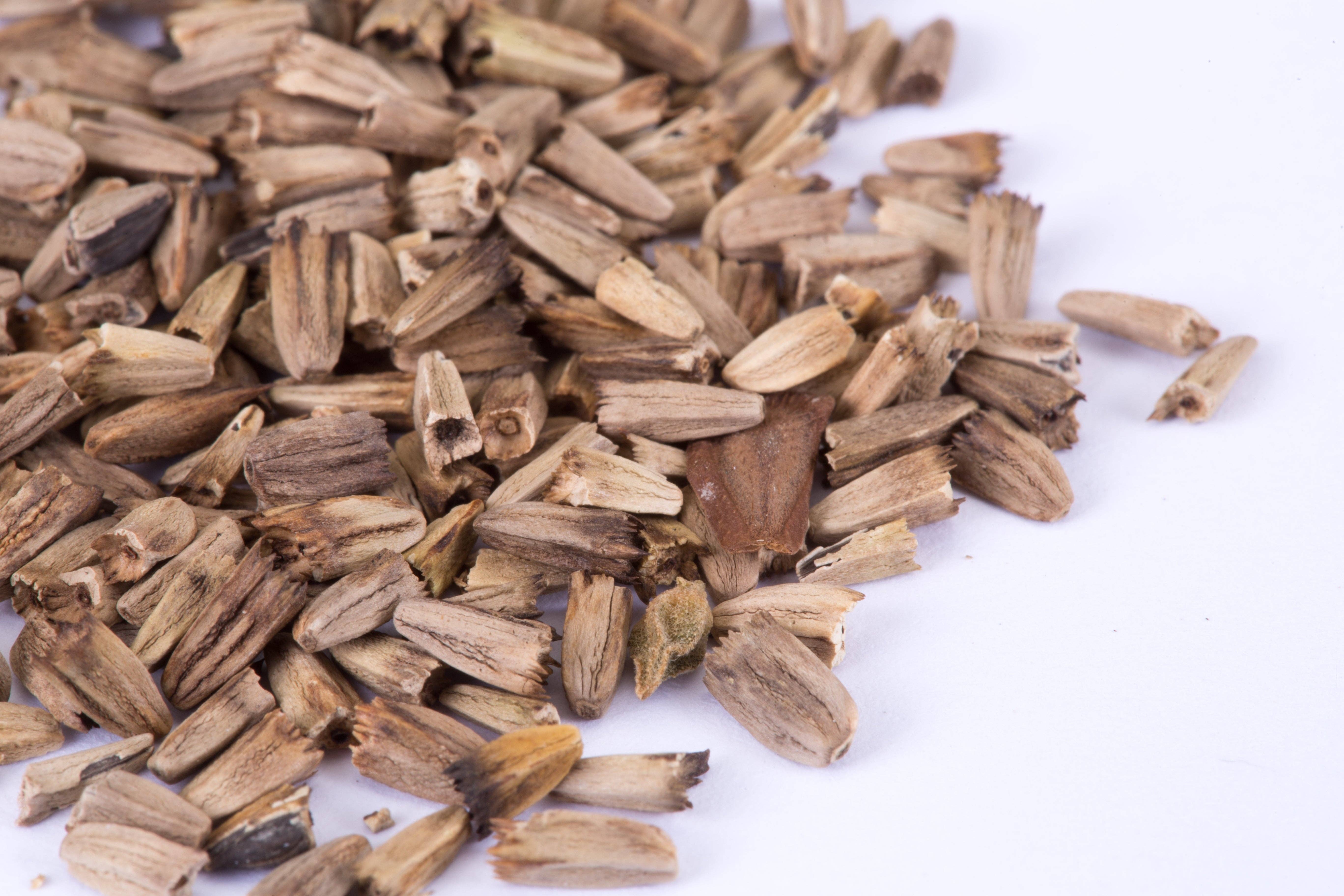 Bentley Seed Co. - Wholesale Plant Seeds - Purple Coneflower (Echinacea) Seed Packets3