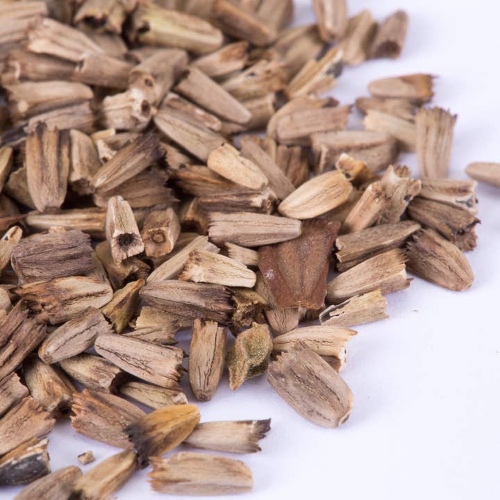 Bentley Seed Co. - Wholesale Plant Seeds - Purple Coneflower (Echinacea) Seed Packets3