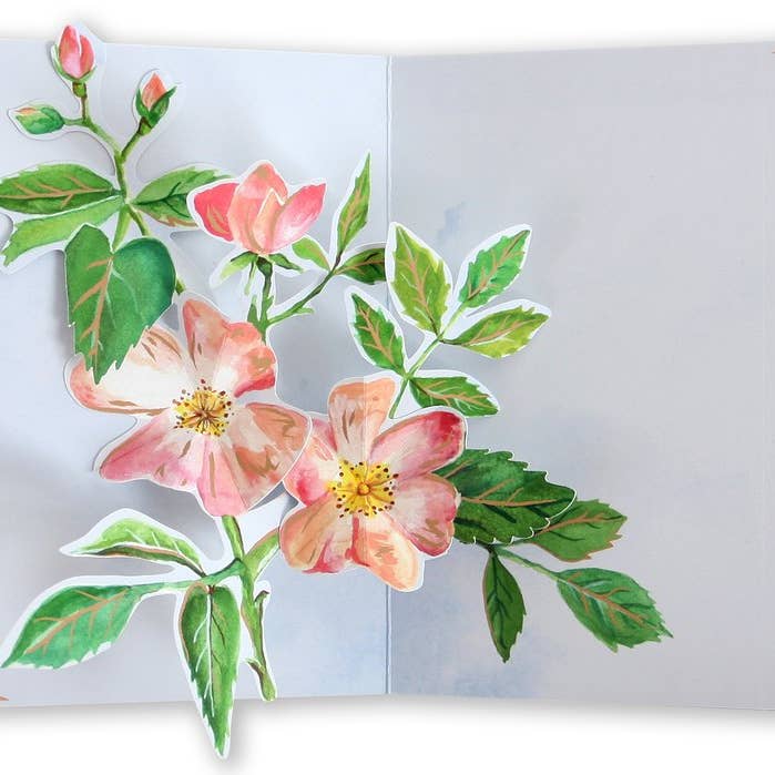 UWP Luxe - Wholesale Everyday Greeting Card - Seed Packet Pop-Up Card