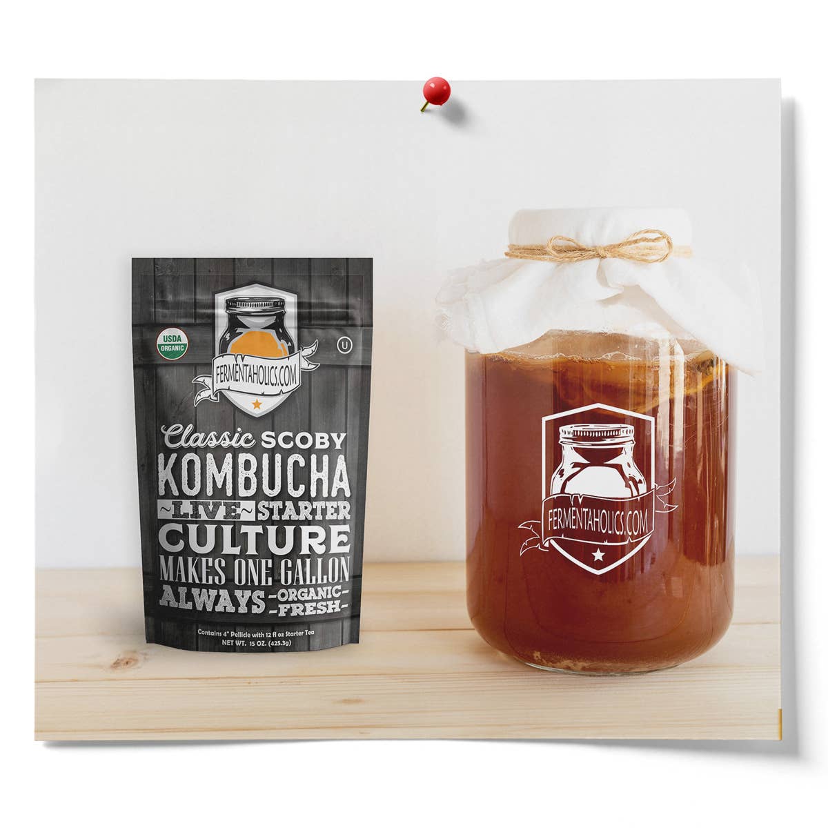 Fermentaholics - Wholesale Kombucha - Classic Kombucha Scoby3