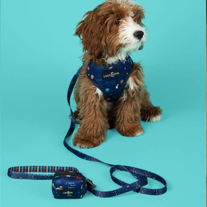 Lucy & Co. – wholesale Pet poo bag dispenser – Space Doodle Poop Bag Holder1