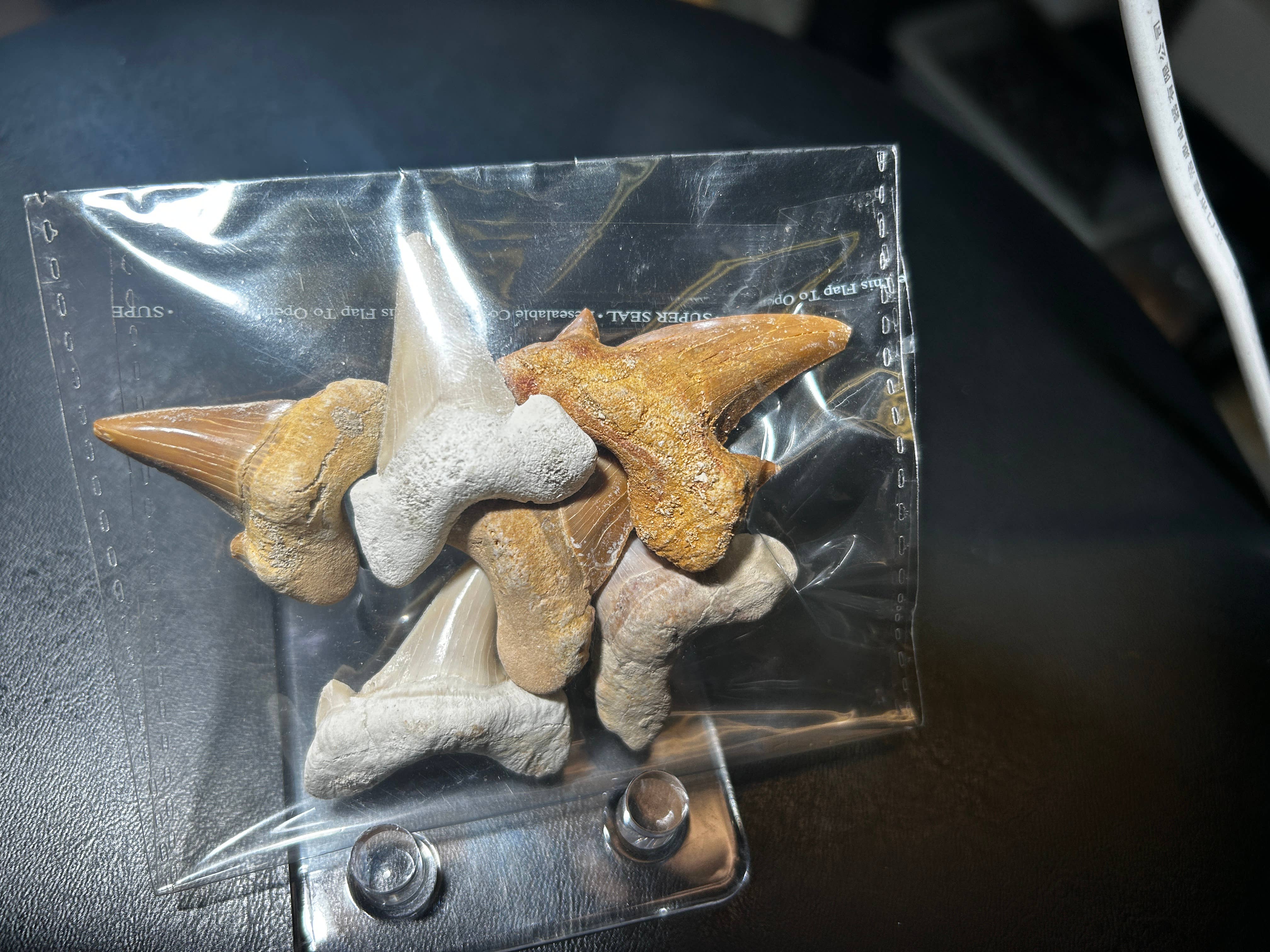 Metaphysical & Healing Crystals - Wholesale Spiritual Stone/Crystal - SHARK TEETH3