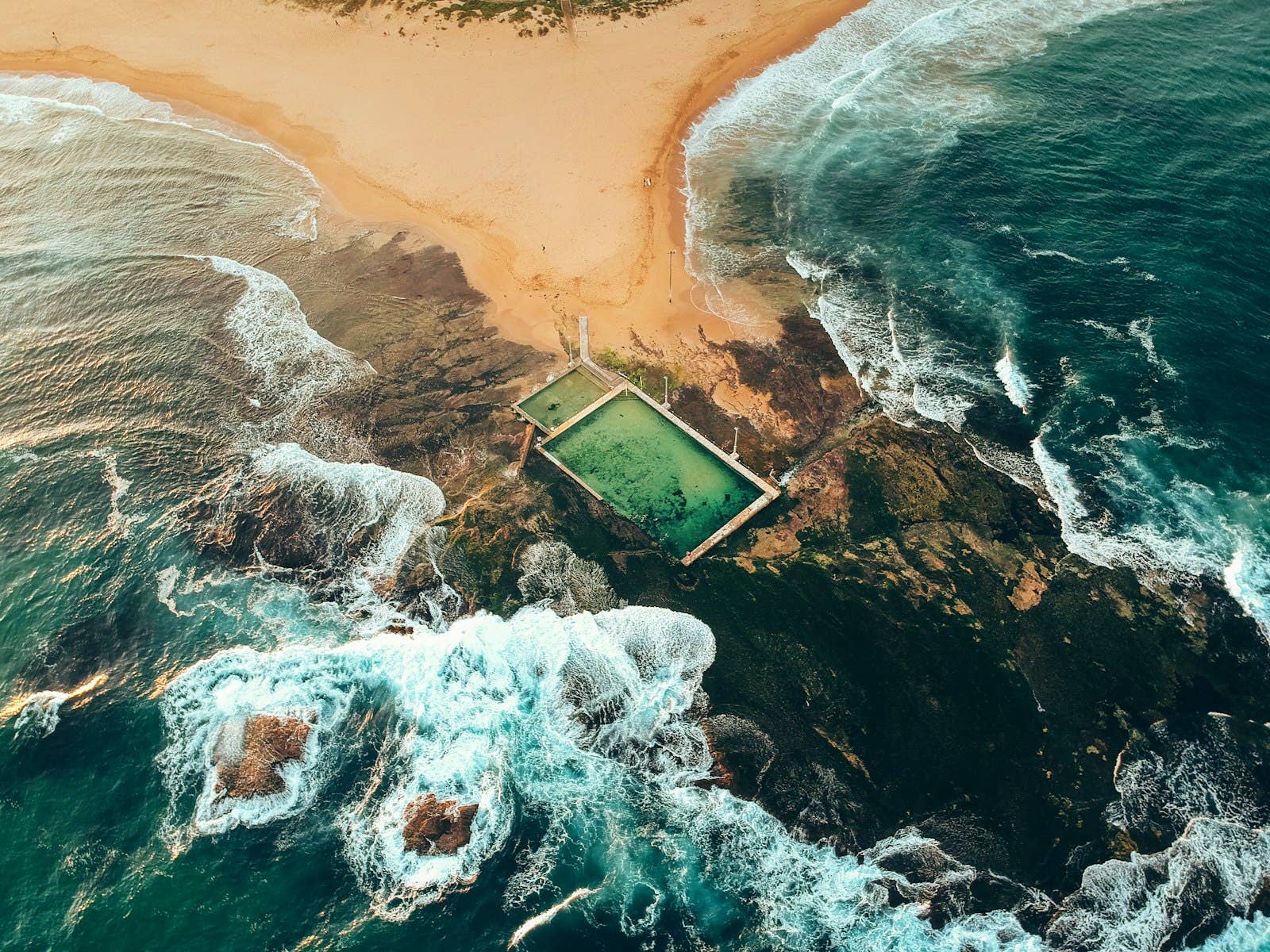 gestalten & teNeues - Wholesale Display Book - The Nature of Swimming11