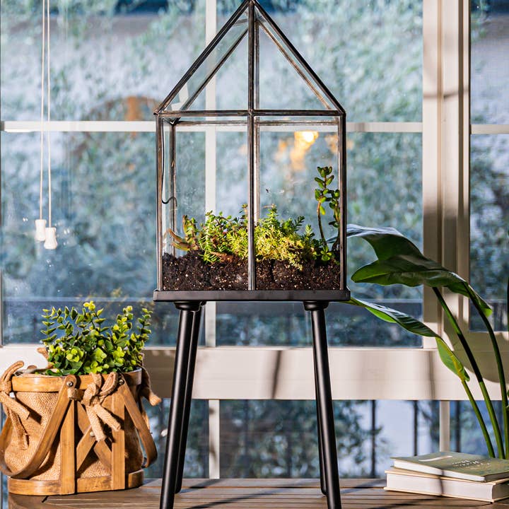 Urban Born - Wholesale Terrarium - Urban Born Oversized House Terrarium with Separate Stand0
