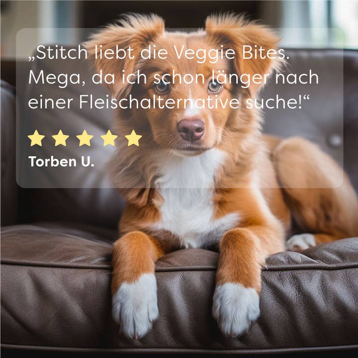 DrSAM - Wholesale Pet Treats - Dog - Premium Veggie Bites, 200g - vegetable snack for dogs5