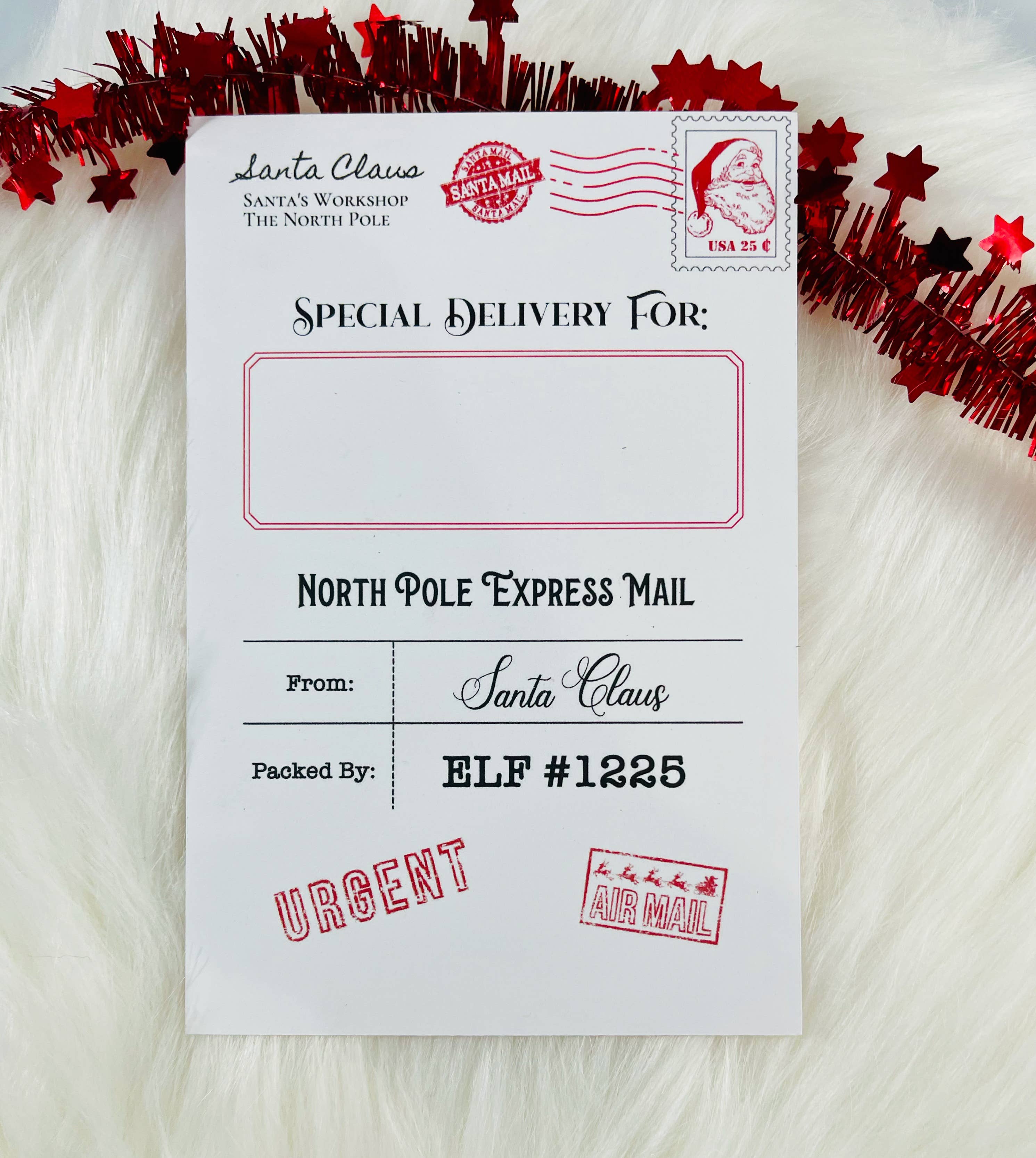 SunshineSoulMD - Wholesale Ornament - Santa Cam Christmas Ornament4