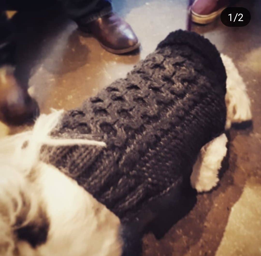 Leni Knits Limited - Wholesale Pet Sweater - Dog - The Original Honeycomb Cable Knit Dog Sweater8