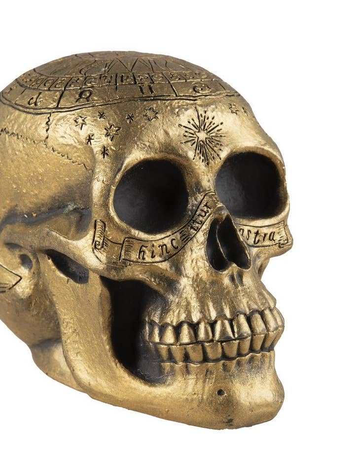 Teschio Decorato - Dorato per la vendita all'ingrosso da parte di P'tit Clown