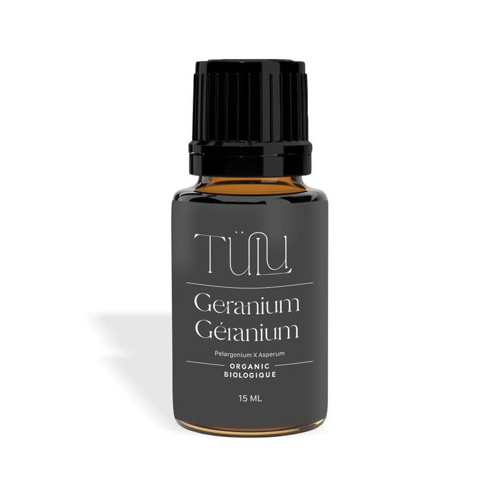 Geranium (Pelargonium x asperum) for wholesale by Tülu Wellness