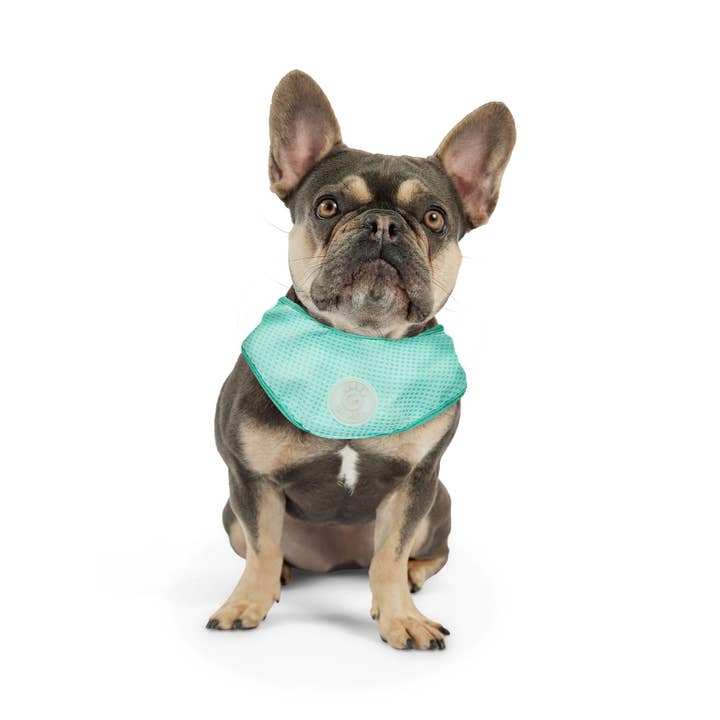 GF Pet - Wholesale Pet Bandana - Dog - ICE BAND - Dog Cooling Bandana - Aqua4