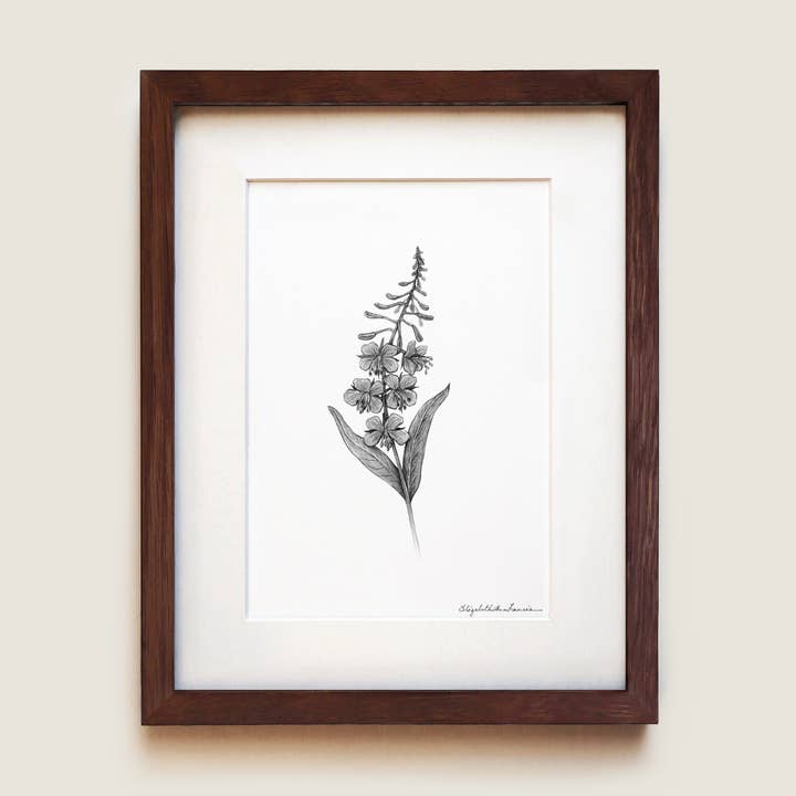 Fireweed | Fine Art Print for wholesale by ElizabethAnnFrancis