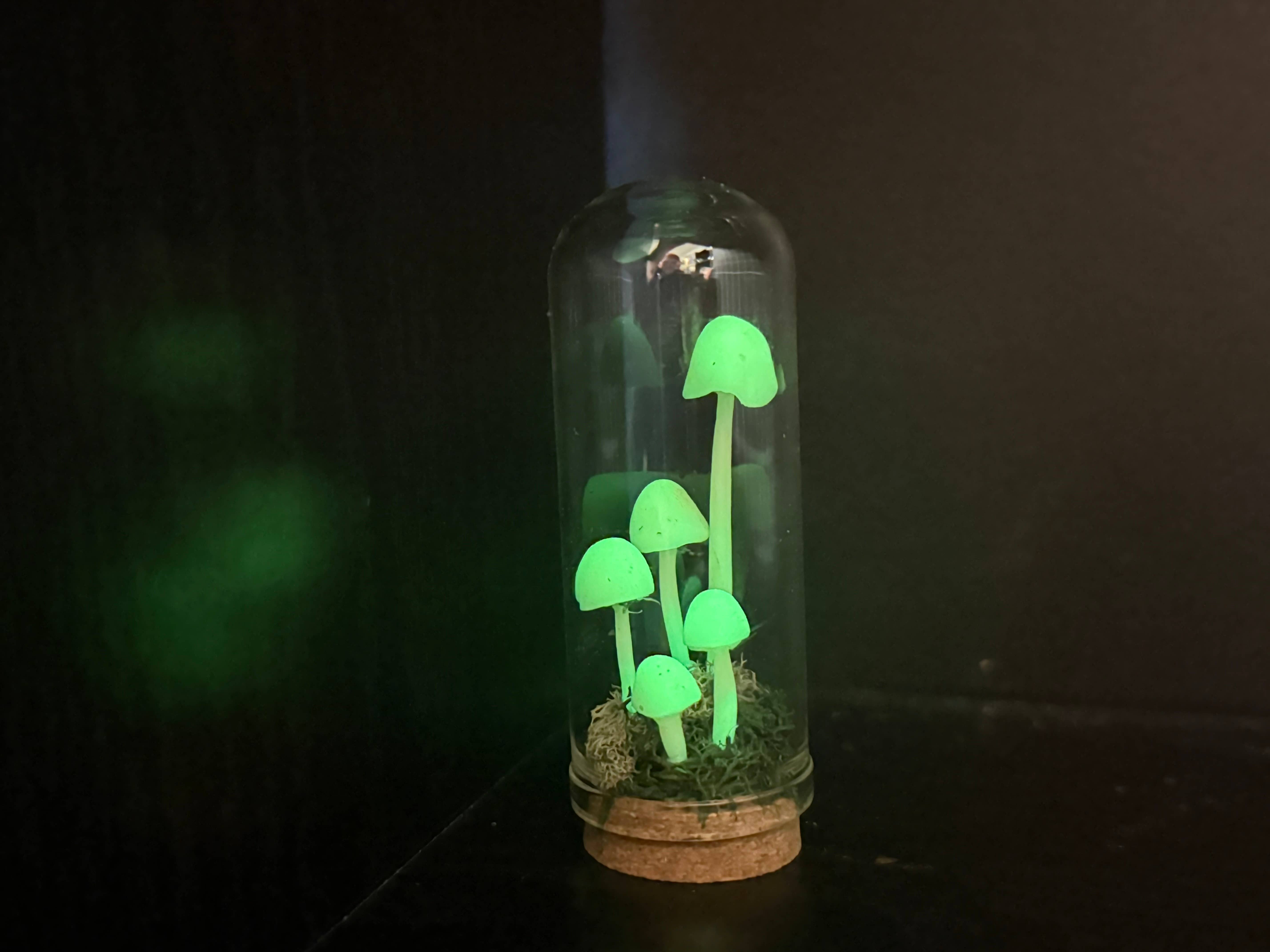 Leafy Ann Art - Wholesale Sculpture - Mushrooms glow mushroom terrarium3