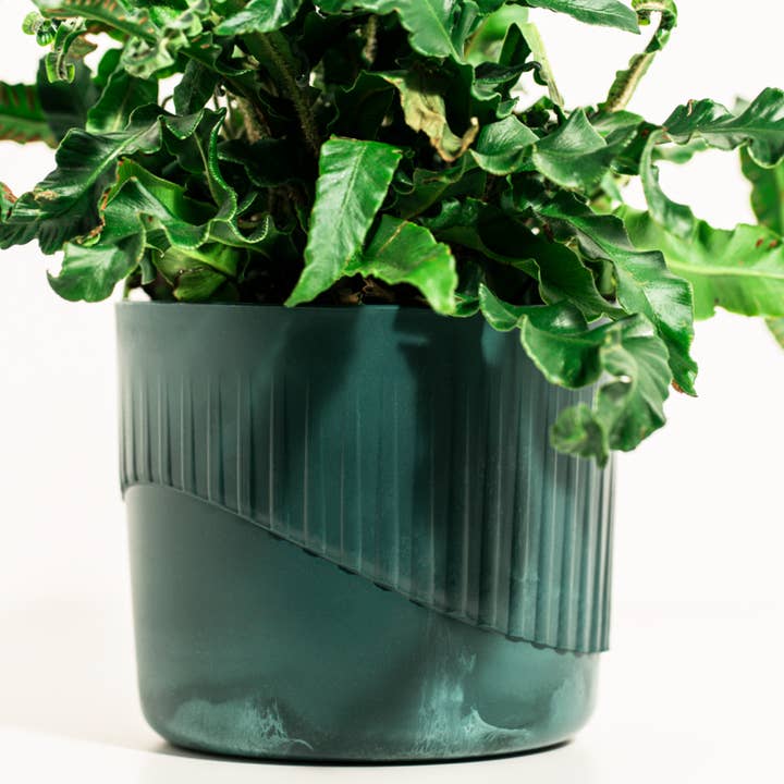 Blue Grey Ecotribo Small Recycled Ghost Net Plant Pot - MISTY CLIFFS for wholesale on Faire3