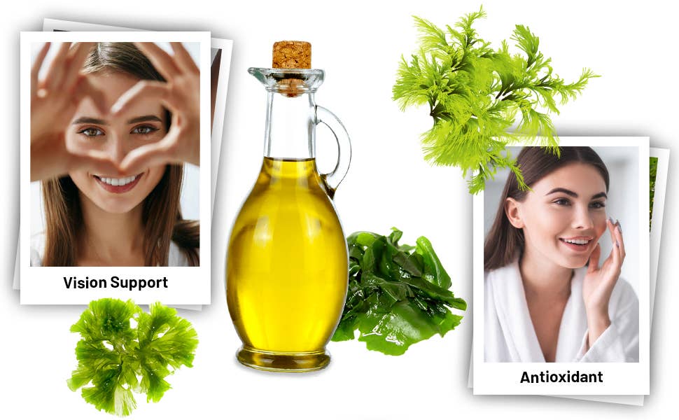 Prowise Healthcare - Wholesale Oral Supplement/Vitamin - Prowise Vegan Omega-3 DHA from Algae Oil | 60 Softgels with7