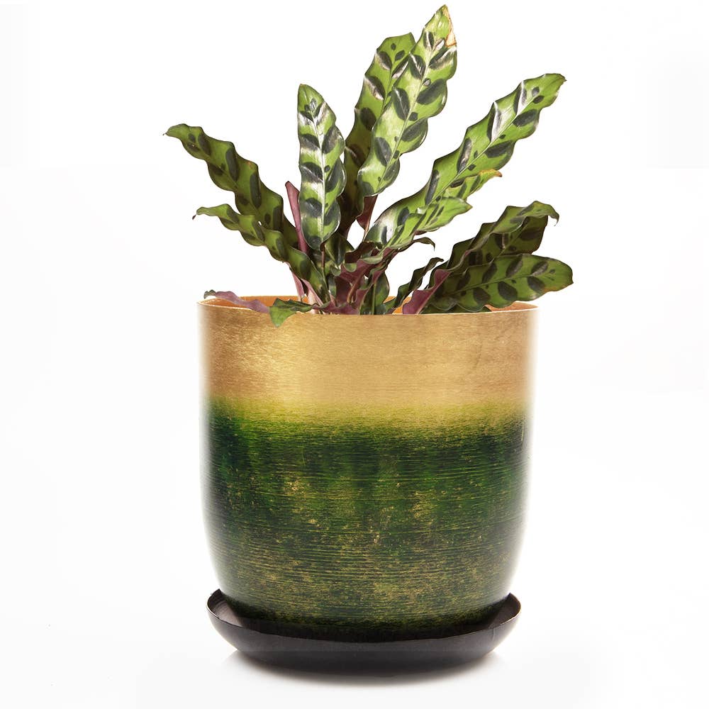 Chive - Wholesale Plant Pot - Joe Metal Flower Pots And Planters With Drainage Hole Saucer1