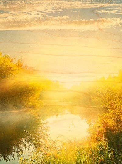 HOUTEN ANSICHTKAART MOERAS ZONSOPKOMST voor wholesale door Hironwoods