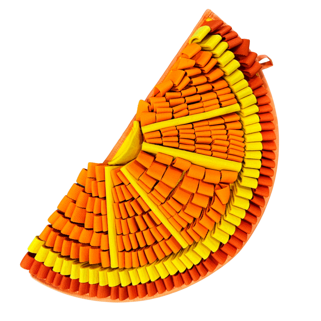 PawzNDogz – wholesale Pet food mat – Dog – Tangy Orange™ Snuffle Mat | Challenge Level 28