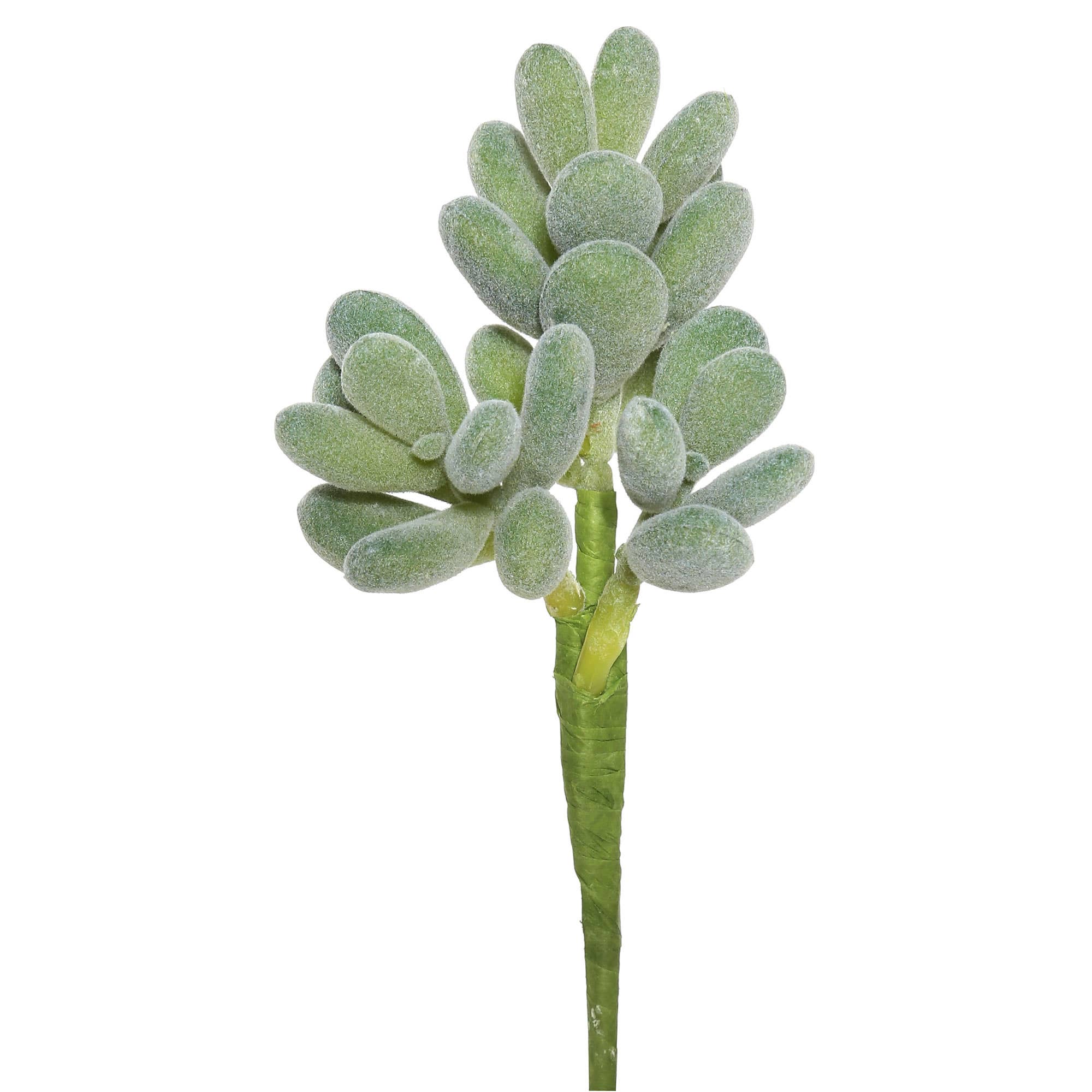 Green Vickerman 7" Artificial Crassula Pick, Set of 3 for wholesale on Faire0
