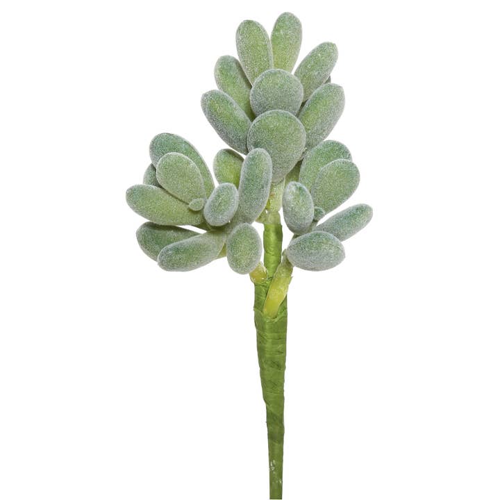 Green Vickerman 7" Artificial Crassula Pick, Set of 3 for wholesale on Faire