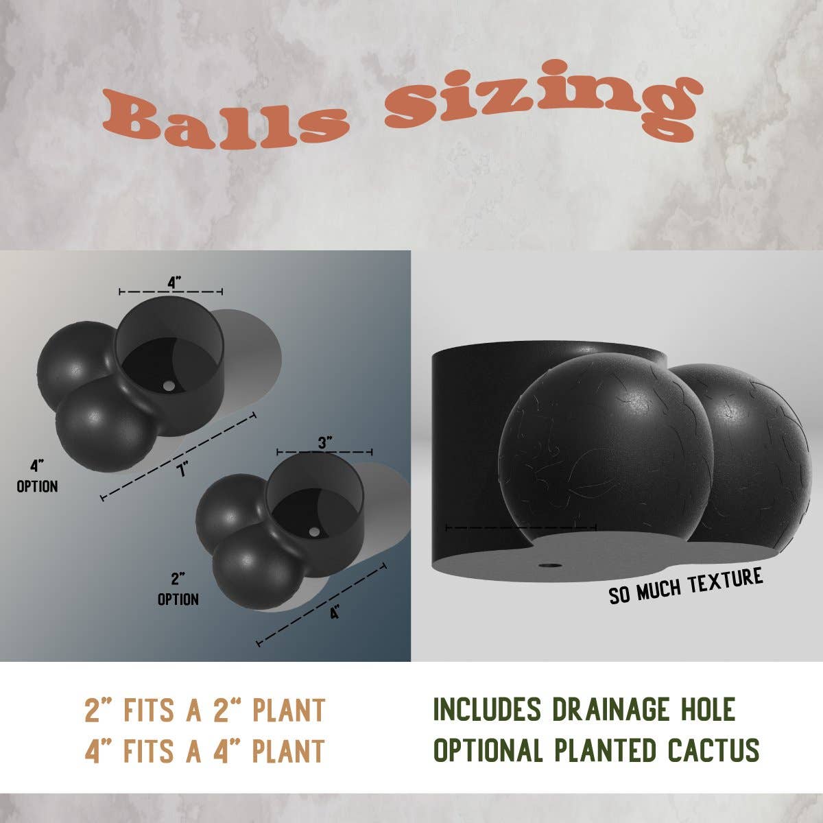 Rosebud Homegoods - Wholesale Plant Pot - Sir Richard Plant Pot, Optional Cactus2