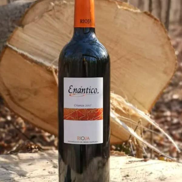 Viñedos y Bodegas Lyng - Vendita all'ingrosso Vino rosso - Vino rosso Crianza D.O.Ca. Rioja Enántico4