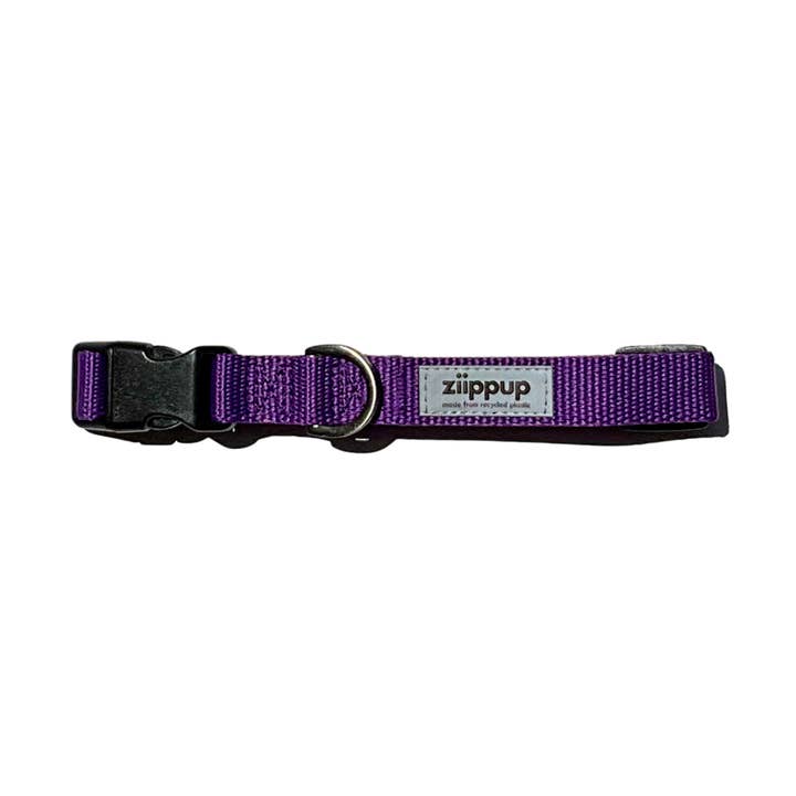 Violettes recyceltes Hundehalsband für den Großhandel von Ziippup - Eco Dog Leads & Collars