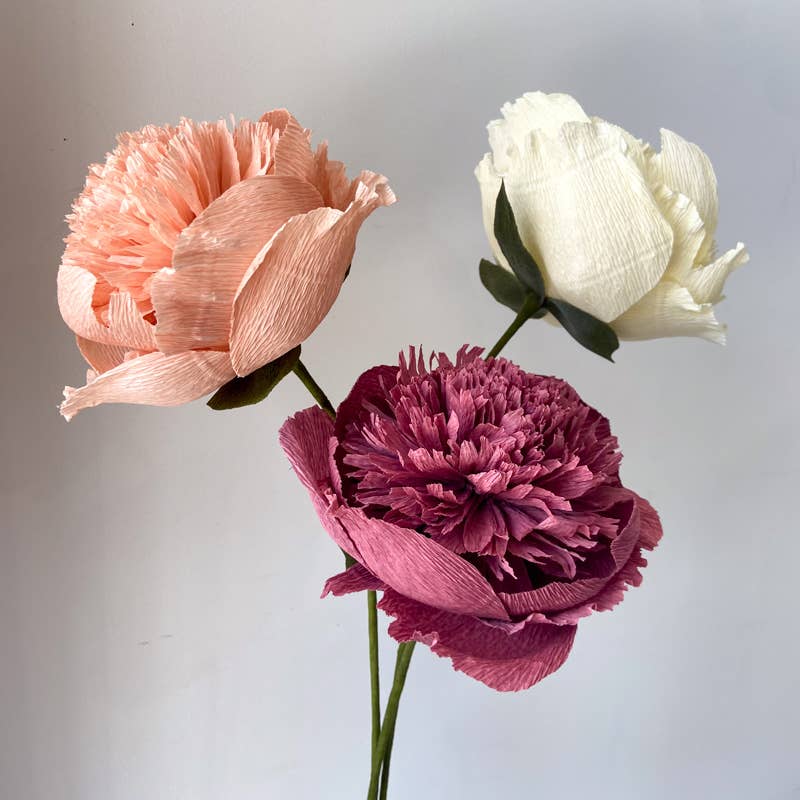 Papercraft Miracles LLC - Vente Fleurs artificielles - Fleur de pivoine charme en papier crépon (petite)10